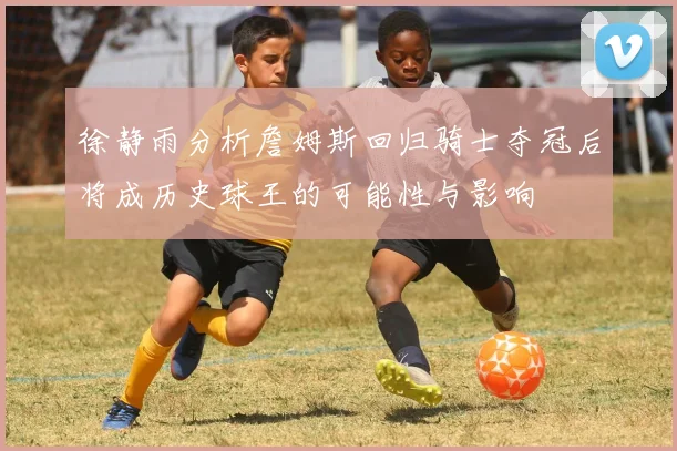 徐静雨分析詹姆斯回归骑士夺冠后将成历史球王的可能性与影响